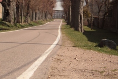 Frühjahrsimpressionen-2020-Gersdorf-34