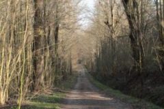 Frühjahrsimpressionen-2020-Gersdorf-57-e1586782519197