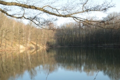 Frühjahrsimpressionen-2020-Gersdorf-60